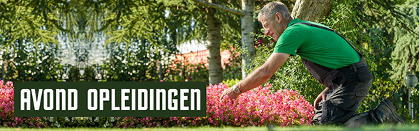 Avond opleidingen