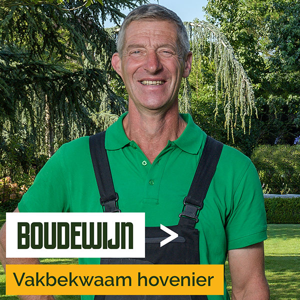 Het verhaal van Boudewijn